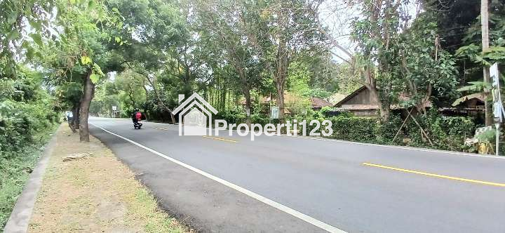 Disewakan tanah 1 hektar 8 arejl Denpasar-Gilimanuk Melaya Jembrana Bali - 3