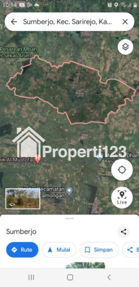 Tanah Murah Investasi Perkebunan dan Perumahan di perbatasan Lamongan Gresik - 4
