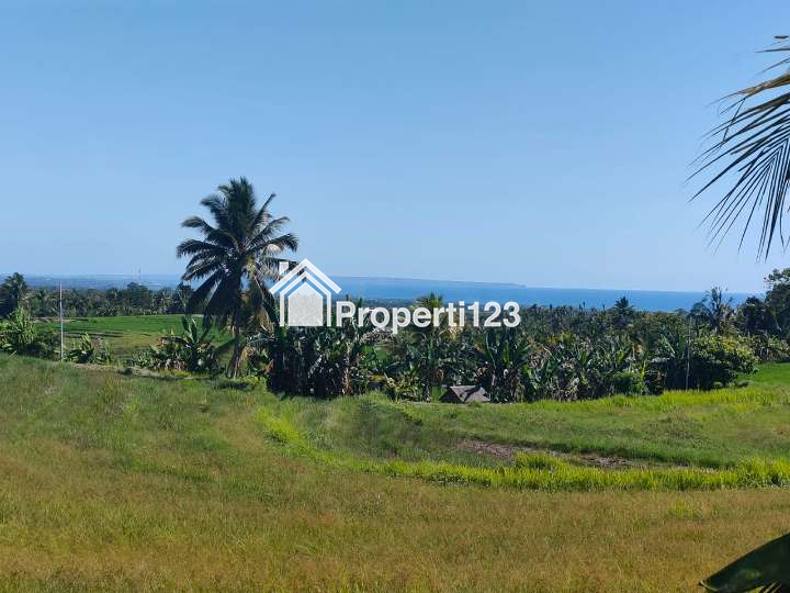 Dijual Tanah Full View Laut Abadi & Sawah Terasering Di Tabanan Bali. - 9