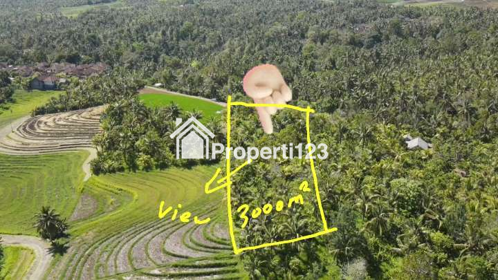 Dijual Tanah Full View Laut Abadi & Sawah Terasering Di Tabanan Bali. - 11