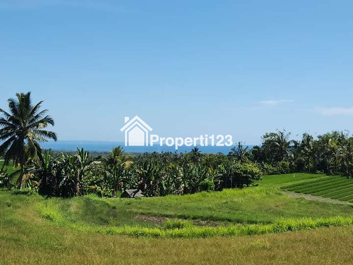 Dijual Tanah Full View Laut Abadi & Sawah Terasering Di Tabanan Bali. - 4