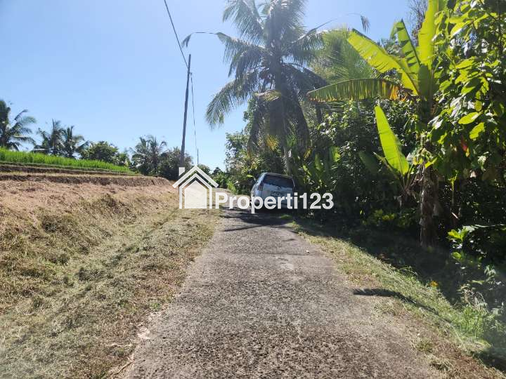 Dijual Tanah Full View Laut Abadi & Sawah Terasering Di Tabanan Bali. - 8