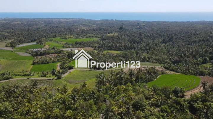 Dijual Tanah Full View Laut Abadi & Sawah Terasering Di Tabanan Bali. - 6