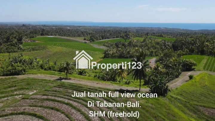 Dijual Tanah Full View Laut Abadi & Sawah Terasering Di Tabanan Bali. - 12