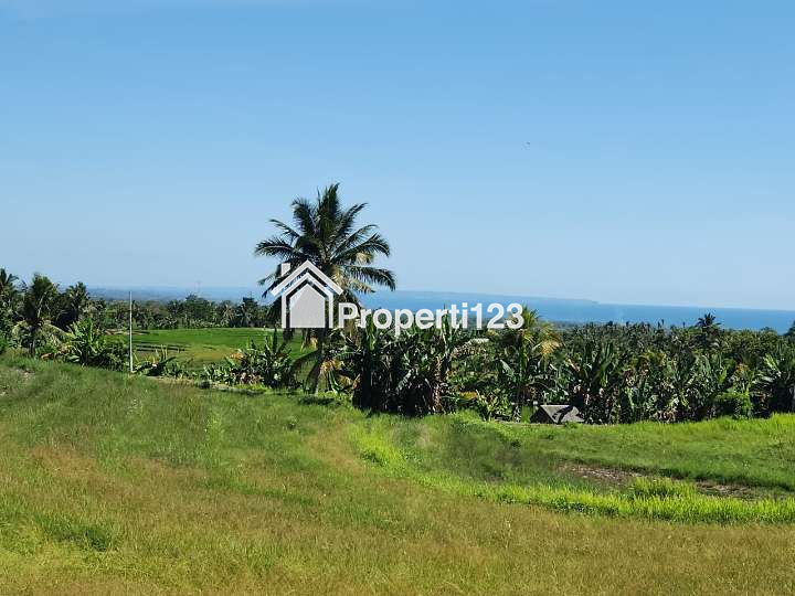 Dijual Tanah Full View Laut Abadi & Sawah Terasering Di Tabanan Bali. - 5