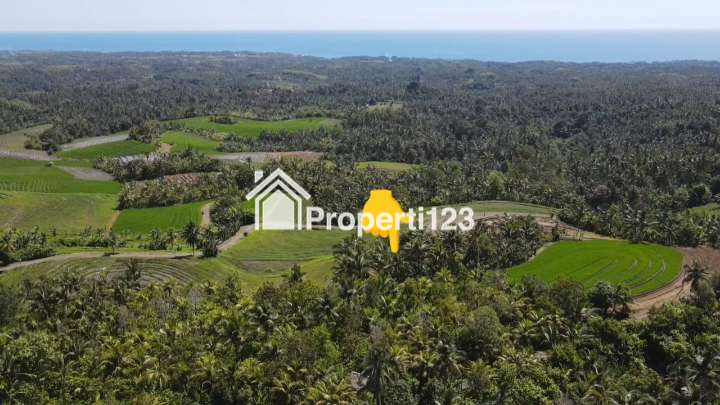 Dijual Tanah Full View Laut Abadi & Sawah Terasering Di Tabanan Bali. - 10