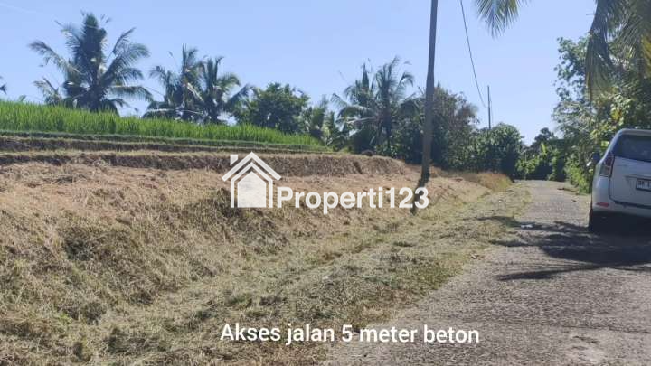 Dijual Tanah Full View Laut Abadi & Sawah Terasering Di Tabanan Bali. - 7