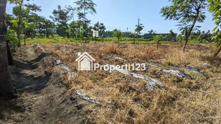 (BWI A.403) Dijual Tanah Di Jl. Ikan Layur Kel. Sobo Kec. Banyuwangi Kab. Banyuwangi - 5