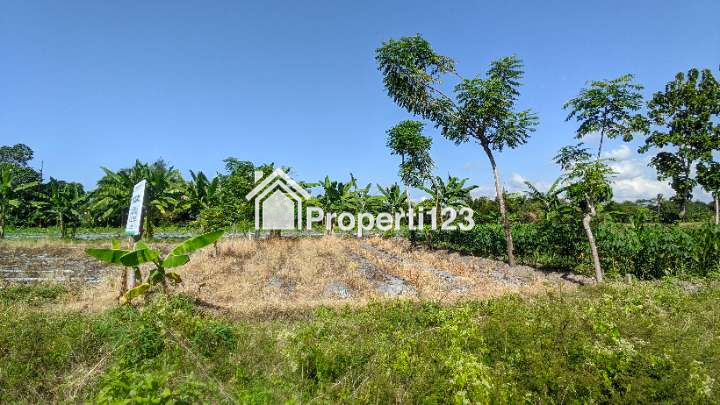 (BWI A.403) Dijual Tanah Di Jl. Ikan Layur Kel. Sobo Kec. Banyuwangi Kab. Banyuwangi - 6