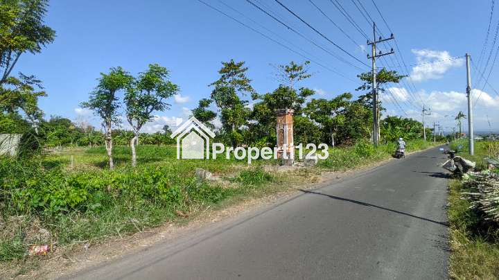 (BWI A.403) Dijual Tanah Di Jl. Ikan Layur Kel. Sobo Kec. Banyuwangi Kab. Banyuwangi - 2