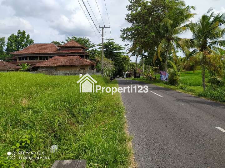 Disewakan tanah 2825 m2 di Kaba - Kaba Tabanan dkt Seseh,Munggu,Canggu Bali - 4