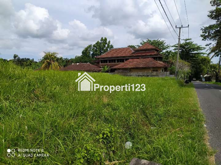 Disewakan tanah 2825 m2 di Kaba - Kaba Tabanan dkt Seseh,Munggu,Canggu Bali - 3