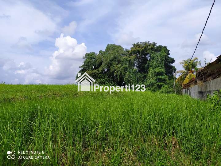 Disewakan tanah 2825 m2 di Kaba - Kaba Tabanan dkt Seseh,Munggu,Canggu Bali - 2