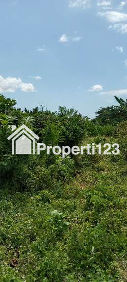 di jual tanah - 2