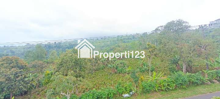 Dijual tanah view Danau Buyan Wanagiri Sukasada Buleleng Bali - 2