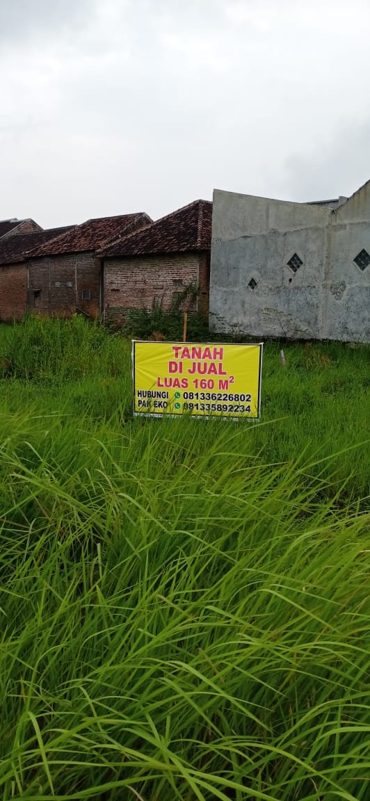 Dijual Tanah Kavling Lokasi Strategis di Desa Legok, Gempol, Pasuruan - 2