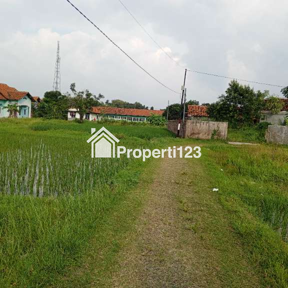 Dijual tanah di kedawung tanah group pln di kedungjaya kabupaten cirebon - 4