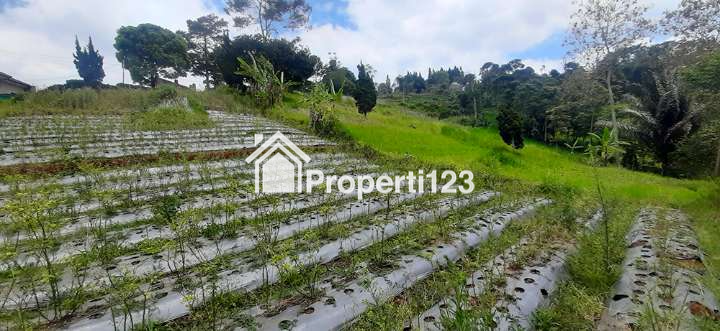 TANAH VIEW KOTA BANDUNG  UNTUK RUMAH TINGGAL ATAU VILLA DI DAGO GIRI - 4