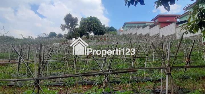 TANAH UNTUK RUMAH ATAU VILLA VIEW KOTA BANDUNG DI CIUMBULEUIT - 5