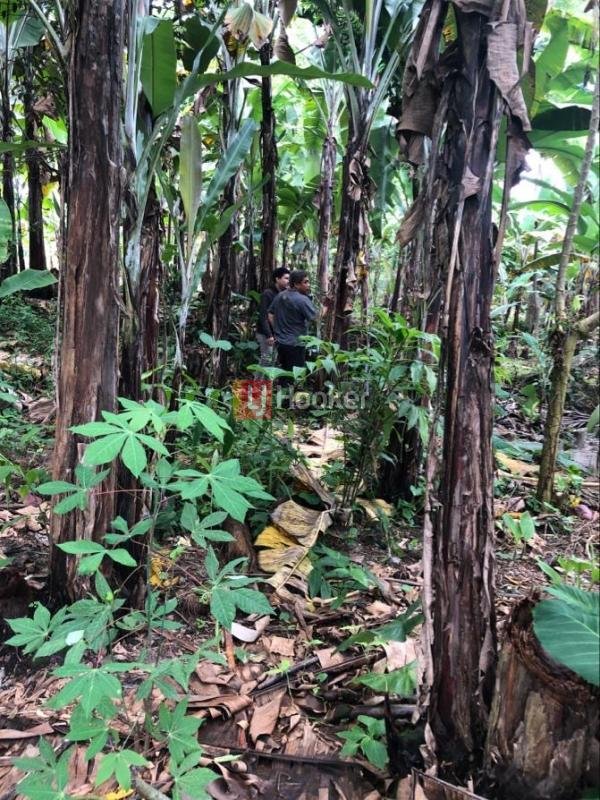 Dijual Tanah Kawasan Pamijahan - 2