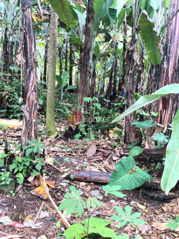 Dijual Tanah Kawasan Pamijahan - 3