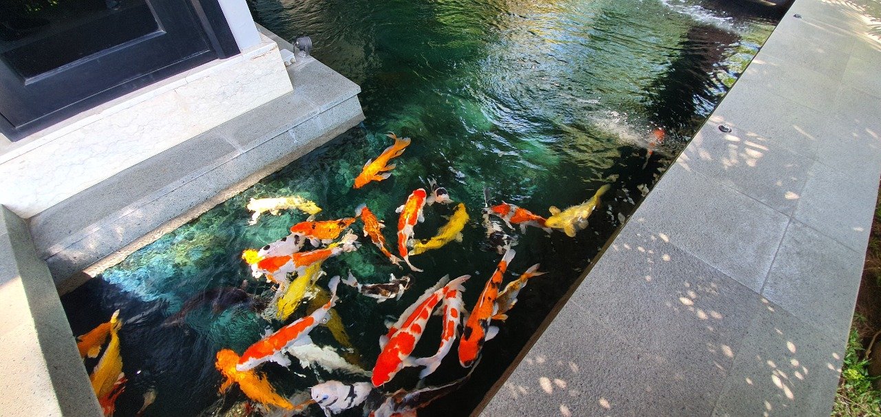 Perumahan Mewah Di Malang - 6