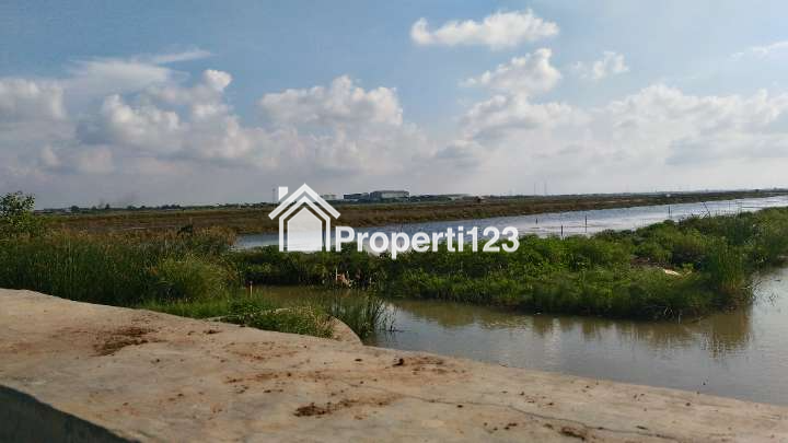 Dijual Tanah Tambak Utk Kawasan Industri Di Losarang, Indramayu, Jawa Barat - 2