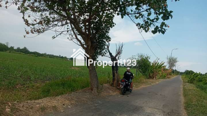Tanah Sawah di Jual - 3