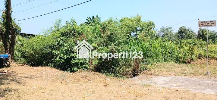 Dijual tanah 2500 m2 jl Ida Bagus Mantra Kusamba Klungkung Bali - 4