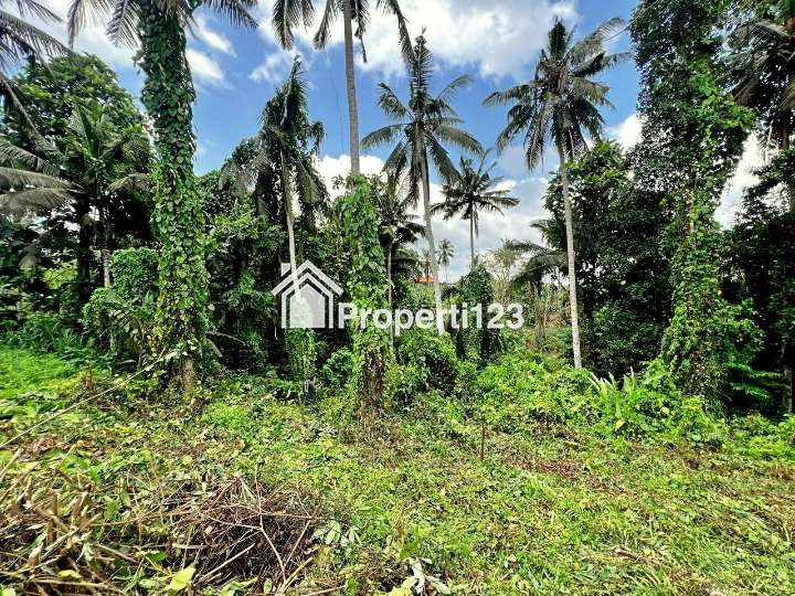 Dijual tanah 2163 m2 di Ubud jl Tirta Tawar dkt jl Andong Gianyar Bali - 2