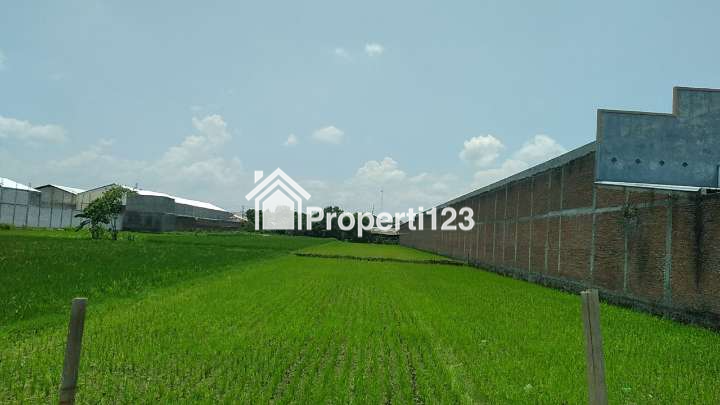 DIJUAL TANAH KERING DI KAWASAN INDUSTRI TRANGSAN, GATAK - 4
