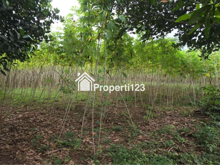 DIJUAL TANAH KOSONG DAERAH GOWA LUAS 1.015 METER - 5