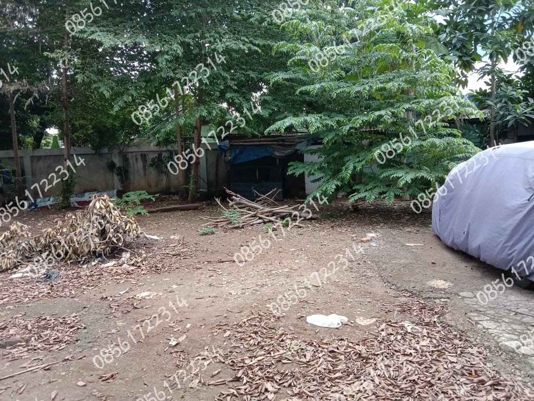 Dijual Tanah Luas Strategis Bonus Rumah Tua di Jl. Cibubur III, Ciracas Jakarta Timur - 3