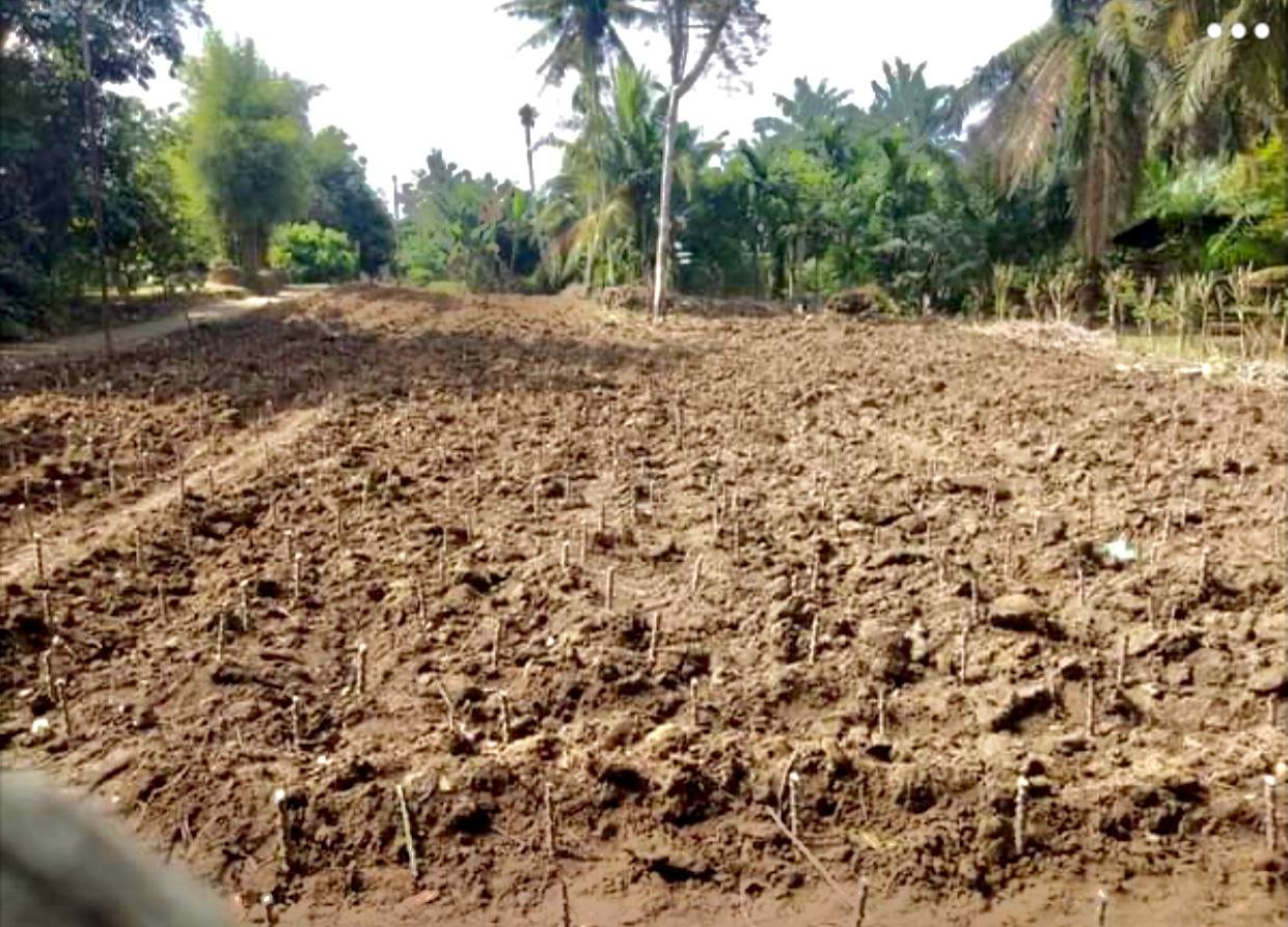 Dijual Cepat Tanah Kavlingan di Jln Danau Maninjau, Padang Merbau, Tebing Tinggi - 5