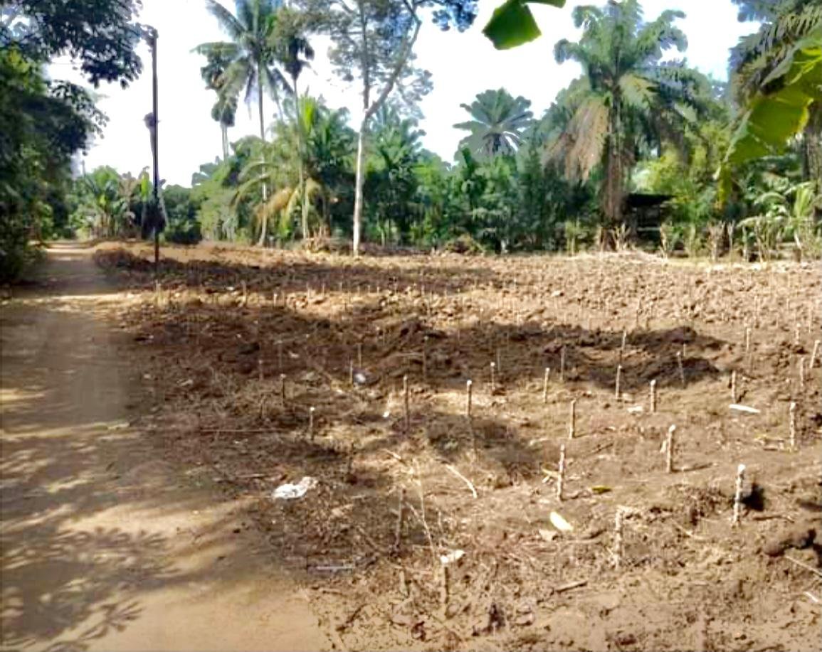 Dijual Cepat Tanah Kavlingan di Jln Danau Maninjau, Padang Merbau, Tebing Tinggi - 3