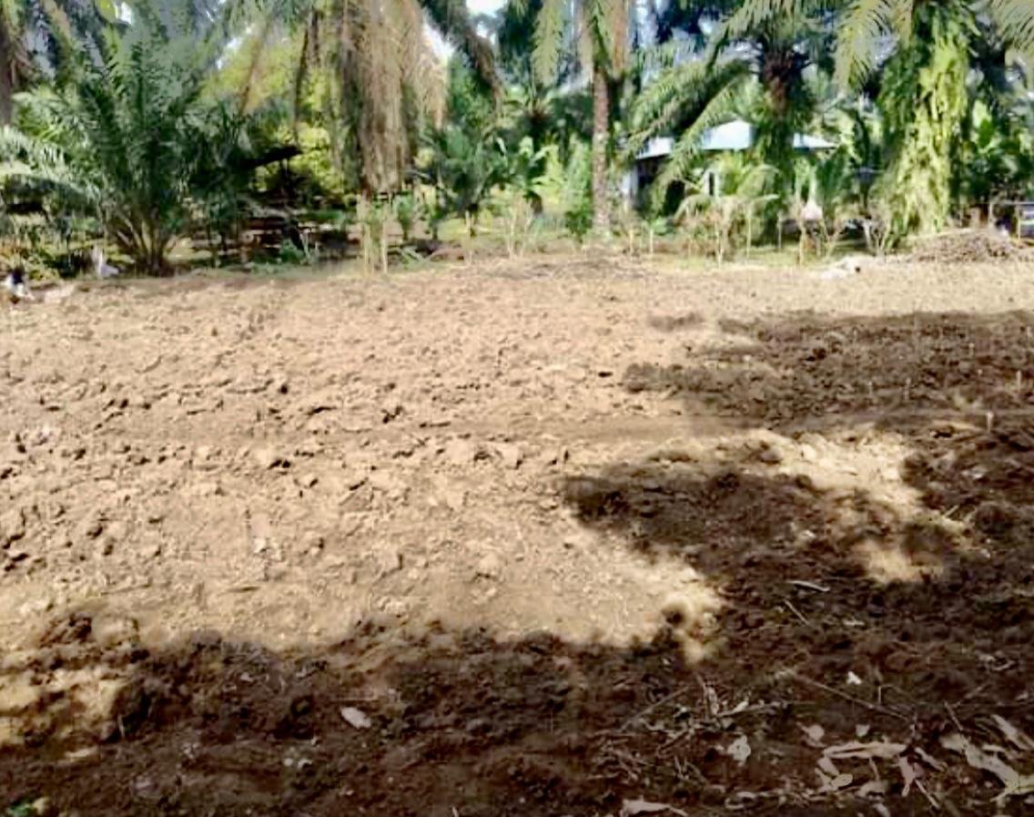 Dijual Cepat Tanah Kavlingan di Jln Danau Maninjau, Padang Merbau, Tebing Tinggi - 4