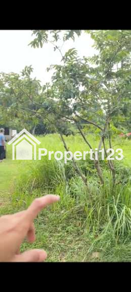 Di jual tanah luas 1200m² - 2