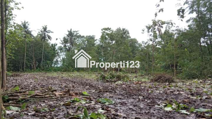 Dijual TANAH KEBUN di Jl Panembahan Rawalo | bisa dilalui mobil - 2