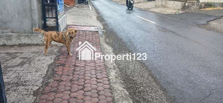 Dikontrakkan Toko/kios/ruko area jl Ahmad Yani Utara Peguyangan Denpasar Bali - 3