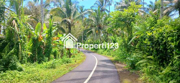 Dijual tanah 5500 m2 di Gunung Salak Kemetug Selemadeg Timur Tabanan Bali - 6