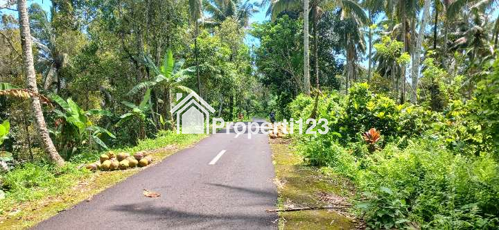 Dijual tanah 5500 m2 di Gunung Salak Kemetug Selemadeg Timur Tabanan Bali - 4