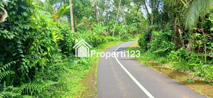 Dijual tanah 5500 m2 di Gunung Salak Kemetug Selemadeg Timur Tabanan Bali - 5