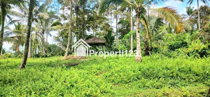 Dijual tanah 5500 m2 di Gunung Salak Kemetug Selemadeg Timur Tabanan Bali - 2