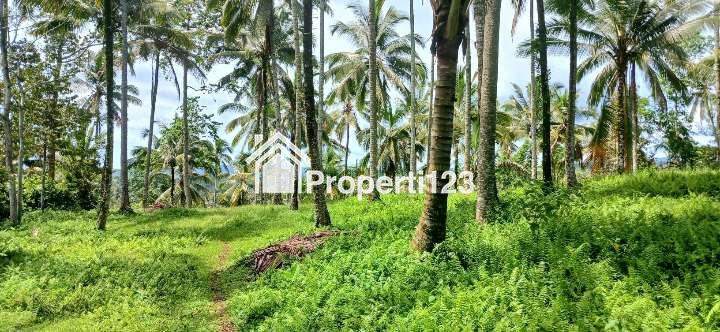 Dijual tanah 5500 m2 di Gunung Salak Kemetug Selemadeg Timur Tabanan Bali - 3