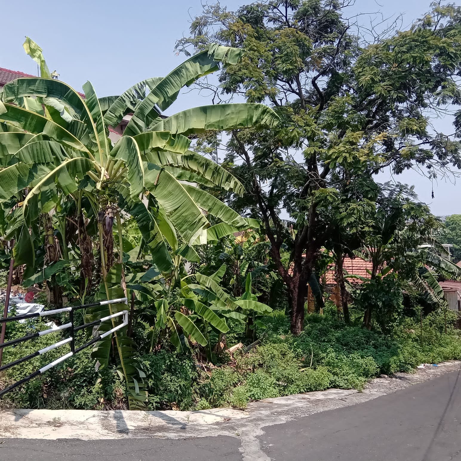 Tanah di Pamularsih Tanpa Perantara - 6