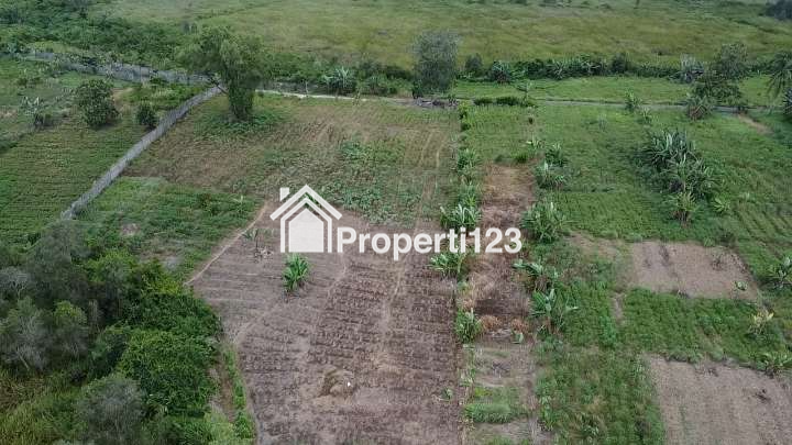 Dijual Tanah Murah SHM 6000m2! Lokasi Strategis, Investasi Menguntungkan! - 2