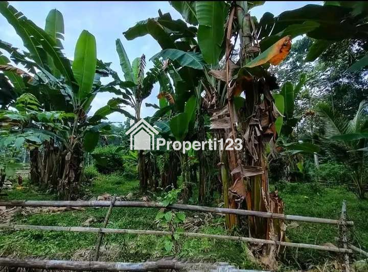 Dijual Cepat Tanah Siap Bangun di Rejosari Glagah Banyuwangi - 2