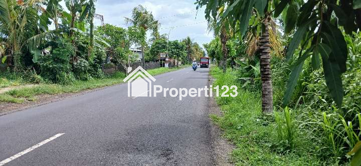 Disewakan tanah 4 are di Marga Tabanan Bali - 4