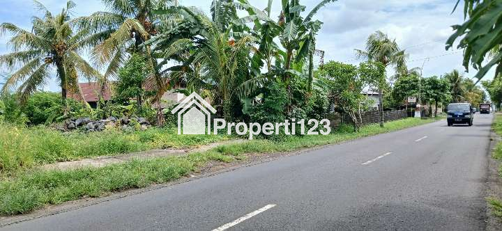 Disewakan tanah 4 are di Marga Tabanan Bali - 3