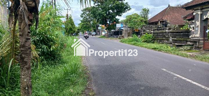 Disewakan tanah 4 are di Marga Tabanan Bali - 2